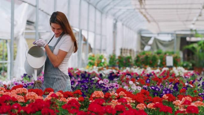 一个穿着围裙的年轻女子园丁的慢动作在阳光明媚的日子里对她在植物车间温室中的工作感到满意