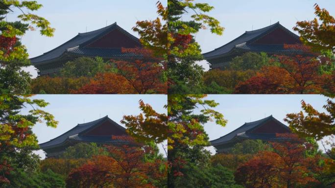韩国秋季的景福宫朝鲜王朝皇宫首尔五大宫