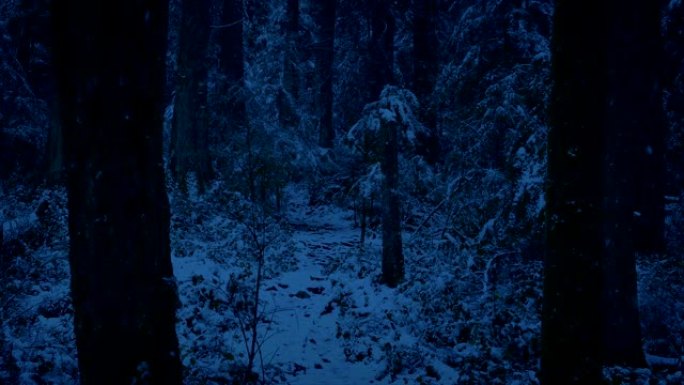 夜间穿越白雪皑皑的树林