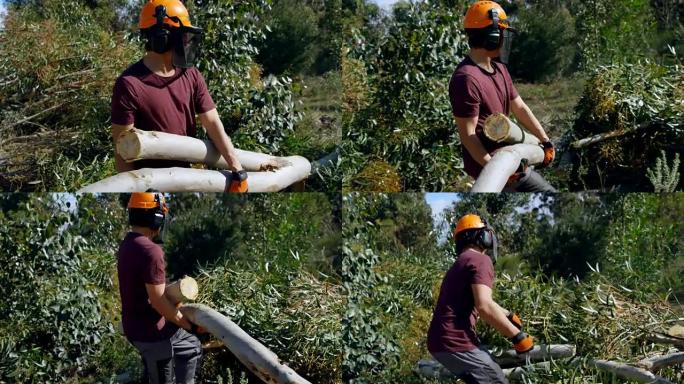 伐木工人在森林中携带木原木4k