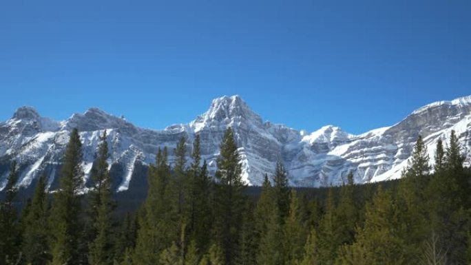 空中: 在令人惊叹的白雪皑皑的加拿大落基山脉下沿着松树林飞行