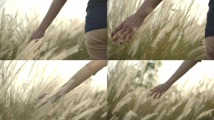 女人的手触摸草地轻抚抚摸草丛