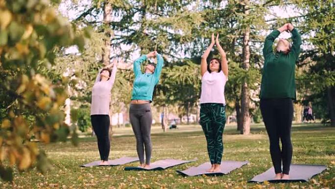 一群女孩在秋日在城市公园户外练习瑜伽，妇女站在垫子上向后弯曲然后向前弯曲。人和娱乐概念。