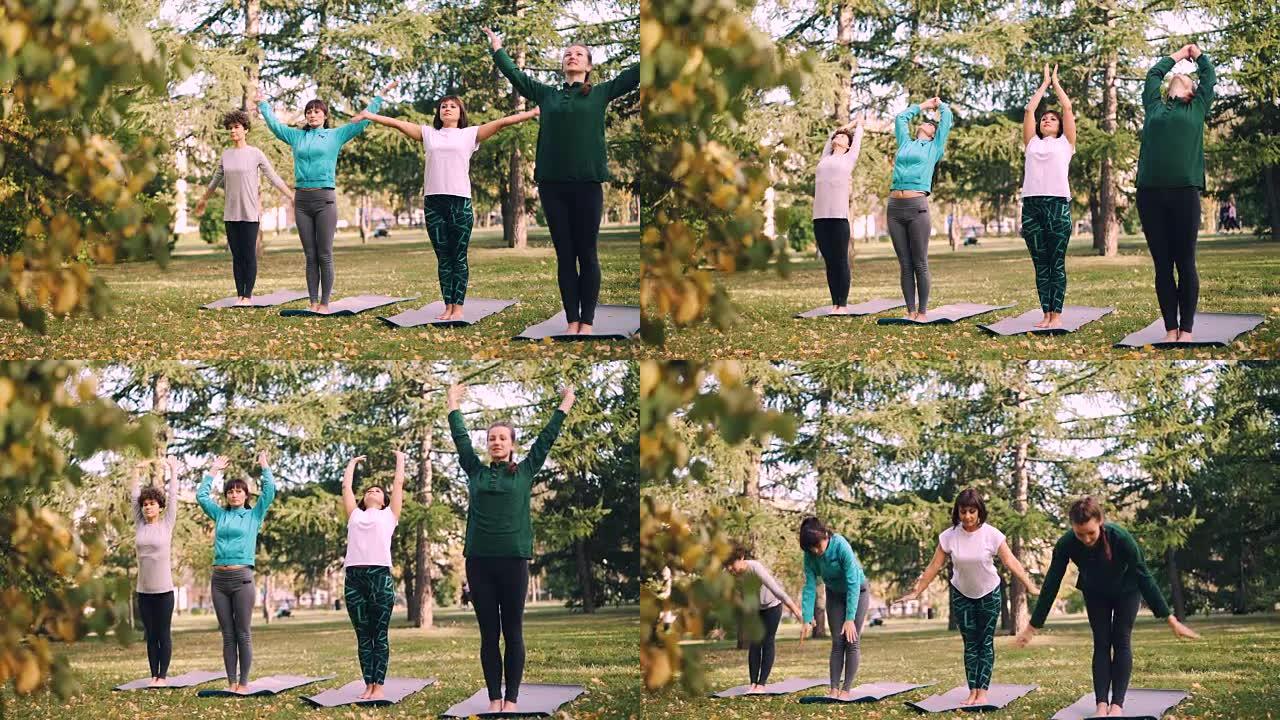 一群女孩在秋日在城市公园户外练习瑜伽，妇女站在垫子上向后弯曲然后向前弯曲。人和娱乐概念。