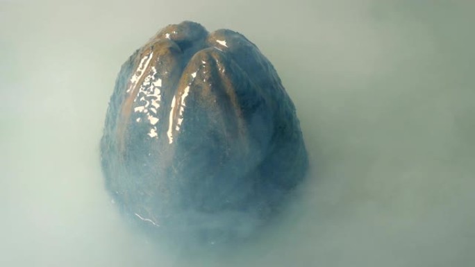 迷雾沼泽中的黏糊糊的外星蛋