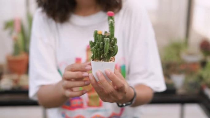 女人看着多汁的花盆植物