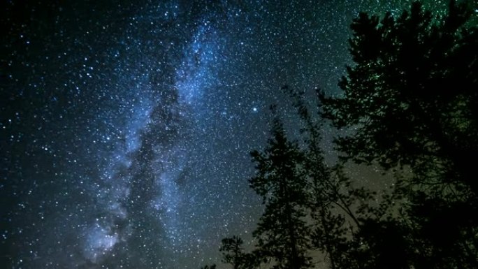 有夜空的小山上的一棵树