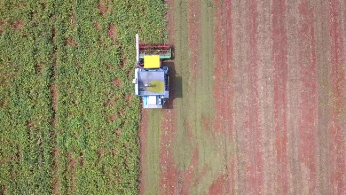 绿豆收割机田野丰收收割机俯拍农田航拍