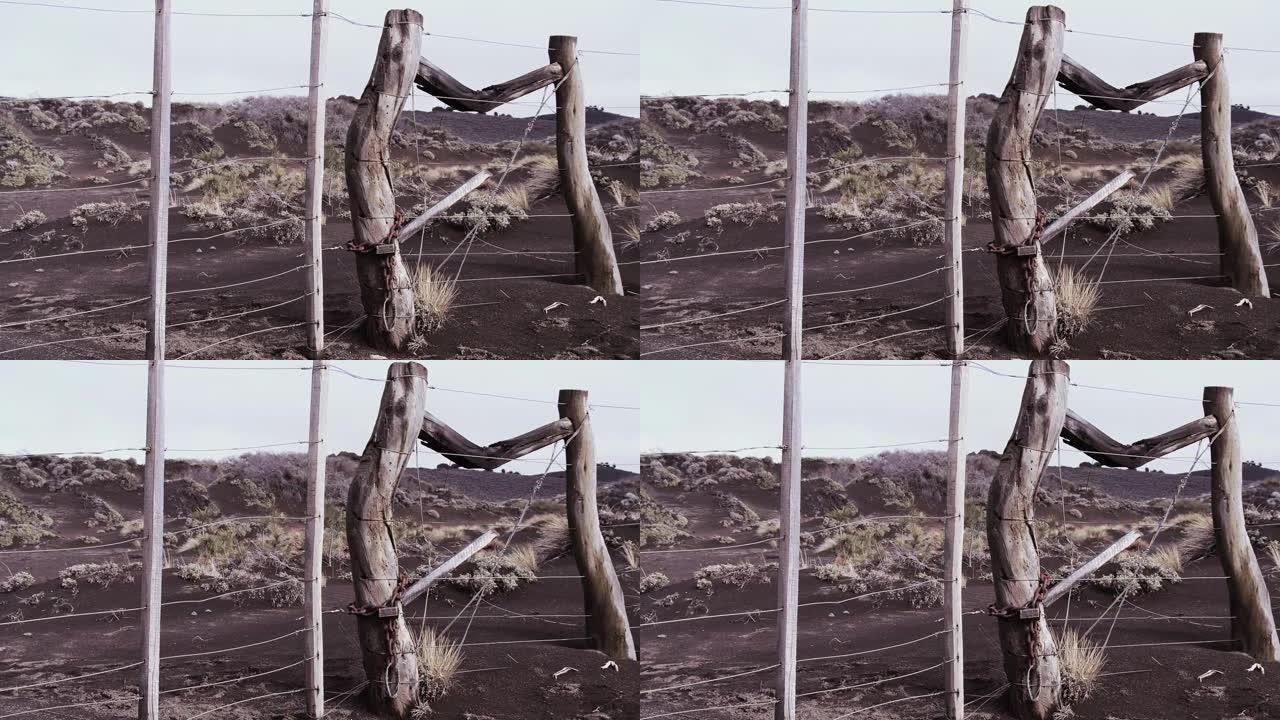 阿根廷巴塔哥尼亚干旱地区的旧风化篱笆柱。