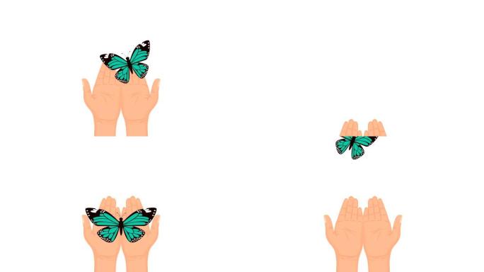 双手举起美丽的蝴蝶动画