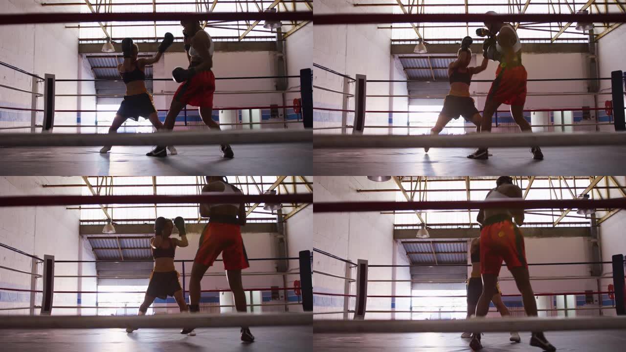 两名混血女子在拳击场训练