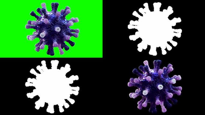 带色度键和阿尔法掩码的4K循环冠状病毒新型冠状病毒肺炎