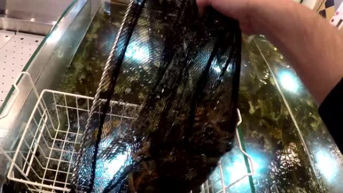 销售人员从水槽中为客户抓活小龙虾的POV