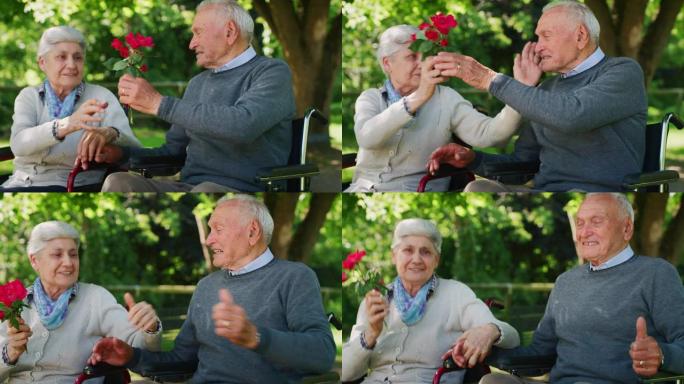 坐在轮椅上的高级丈夫的慢动作正在给妻子送花，以表达他们在阳光明媚的日子里在绿色公园里永远的爱与尊重