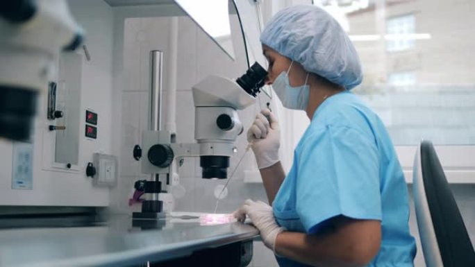在现代医学实验室进行人工授精。实验室工作人员在处理细胞时使用工具。