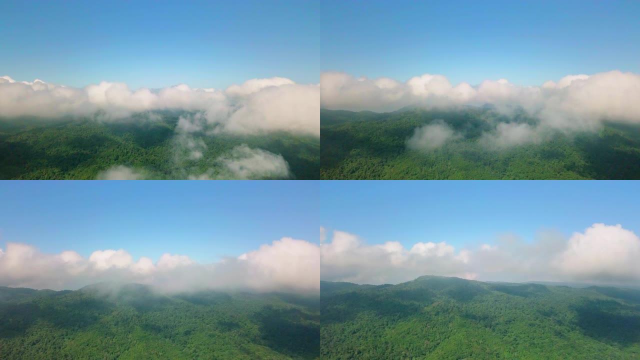 鸟瞰穿过云层的雨林山，4K DCI