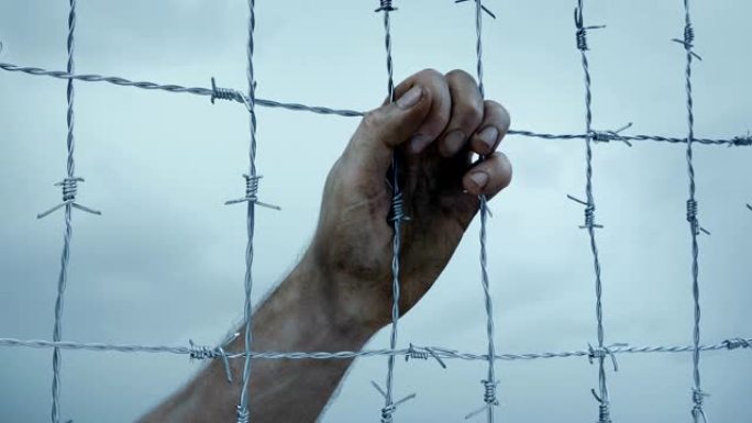 在铁丝网上的手-监狱，战俘，自由的概念