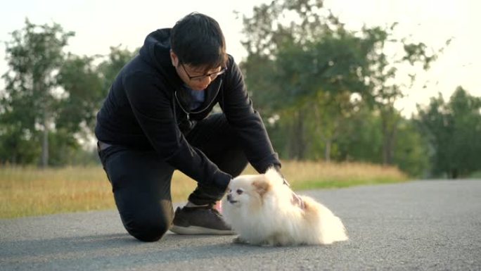 SLOMO狗主人在他的博美犬身上涂抹粉末