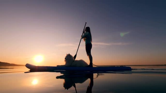 日落时分，一位女士和一只狗的站立划桨冲浪