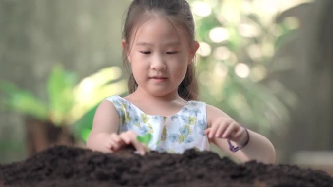 亚洲小女孩在菜园种新树