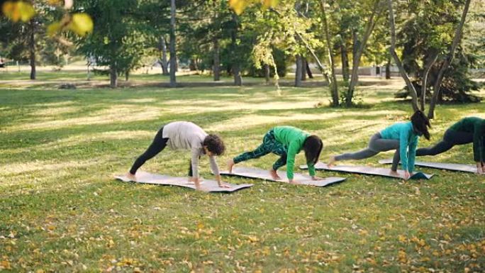漂亮的女孩、女运动员在城市公园的户外练习瑜伽，穿着运动服在鲜艳的垫子上做运动。自然、幸福和活动的概念