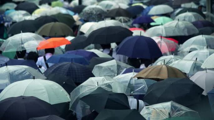 日本商人上午上班打伞下雨天