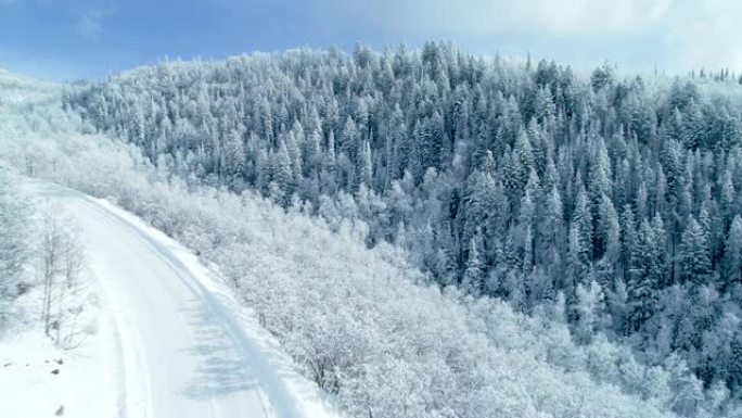 蓝鸟冬日美丽的白雪覆盖的树木森林的空中拍摄