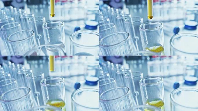 药剂学实验室: 移液器将黄色液体滴入试管，医学研究，分析。科学实验室; 滴管用创新的DNA研究溶液填