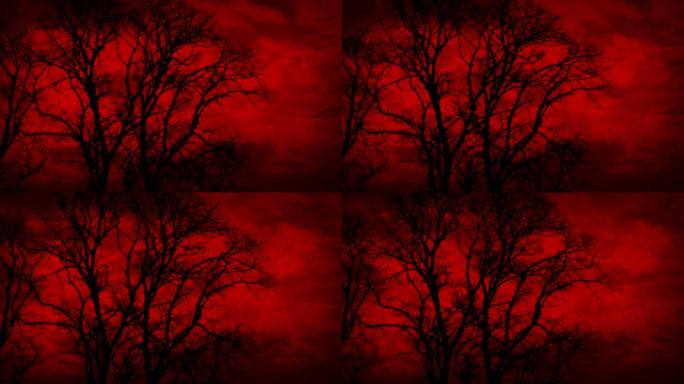 狂风中的世界末日红色天空和树木