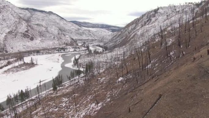 无人机: 一片被烧毁的森林和寒冷的加拿大荒野的沉闷景象。