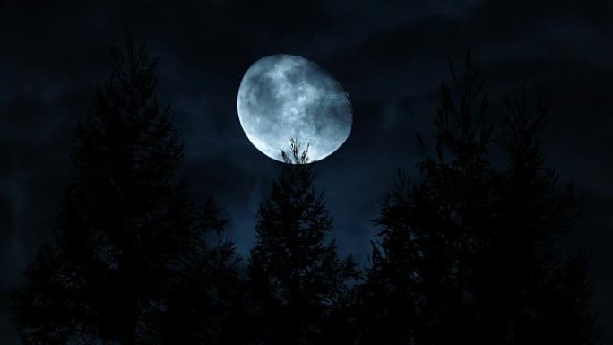 松树满月