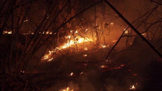 倾斜夜间燃烧的丛林大火。