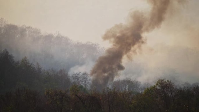 SLO MO黑烟烟雾来自森林大火，野火