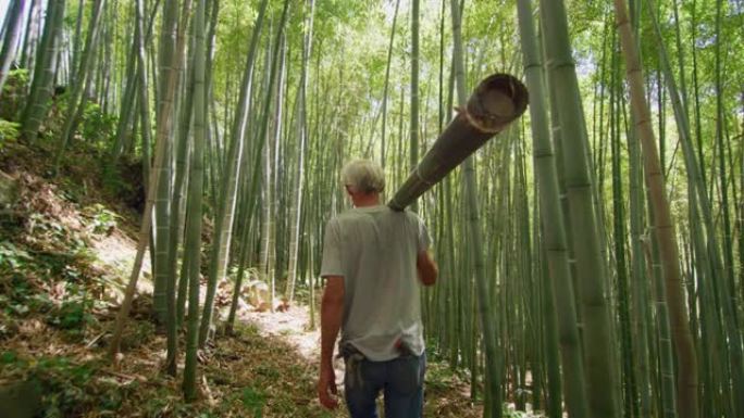 控制森林中竹树的老年工人的慢动作用作可再生可持续能源和不同类型的生态友好型绿色产品