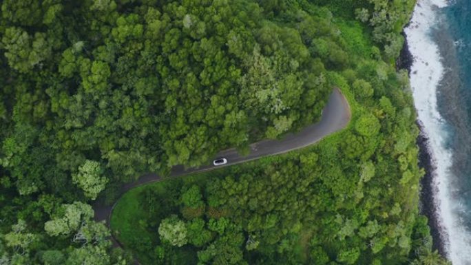 在海边多风的丛林路上行驶