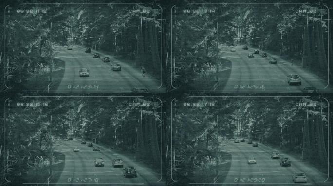 通过森林的高速公路CCTV提要
