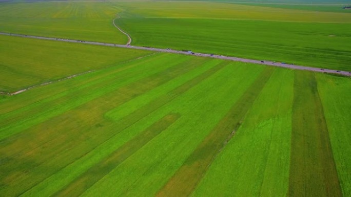 鸟瞰一望无际的绿色麦田里的道路