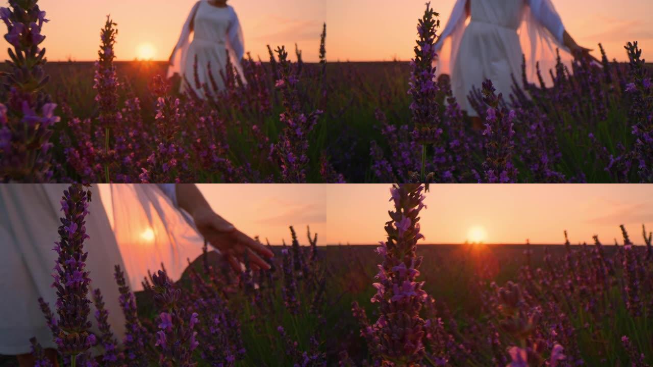 日落时穿着白色连衣裙的洛杉矶女人穿过薰衣草田野