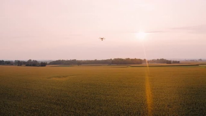 空中跟踪无人机在日落时起飞并飞越田野