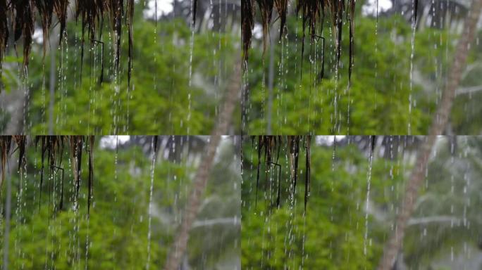 巴厘岛的雨林巴厘岛的雨林下雨