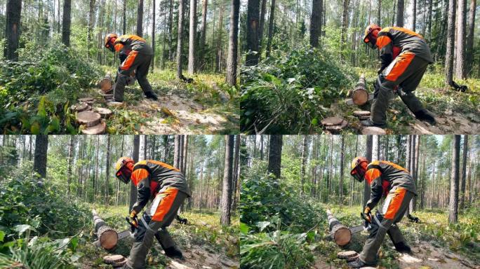 伐木工人正在森林中砍伐树木