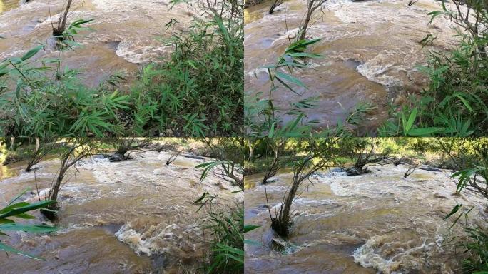 雨季的SLO MO Muddy河。
