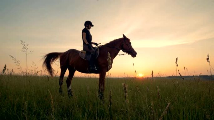 日出景观，骑师女士骑在一匹马上
