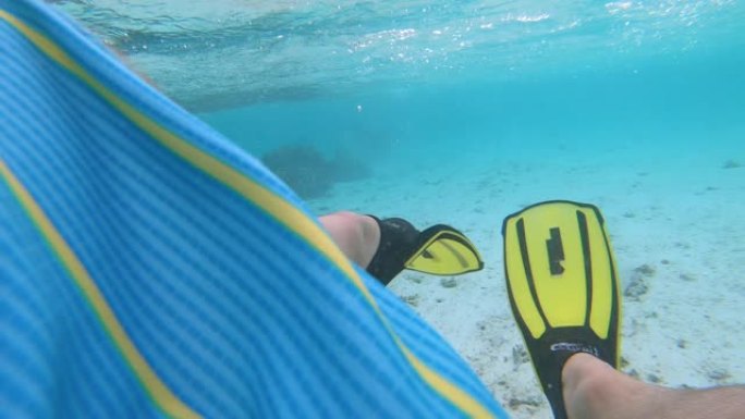 特写: 浮潜者在探索马尔代夫附近的海洋时戴着脚蹼踢。