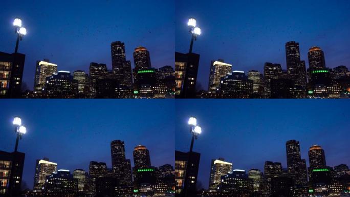 波士顿港的4k镜头场景，一群鸟在夜间从美国马萨诸塞州的范码头公园飞过天空，市中心的天际线，城市景观和