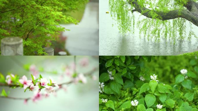 意境雨景，唯美雨景空镜头，湿地公园风景