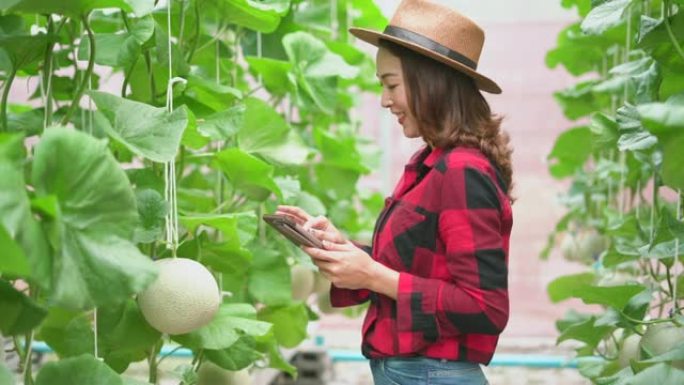 农民使用数字平板电脑检查植物