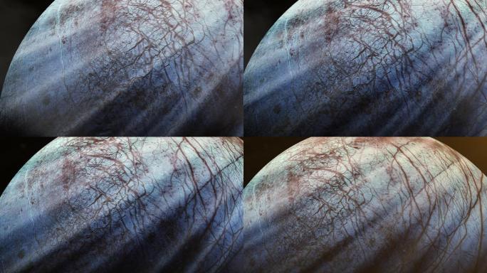 木卫二，环绕木星运行的四颗伽利略卫星中最小的一颗，由伽利略·伽利莱于1610年发现。