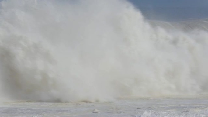 纳米比亚骷髅海岸国家公园冲浪中游泳的一大群海角海狗的4k视图