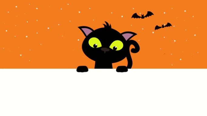 万圣节黑暗的场景，猫和蝙蝠飞翔